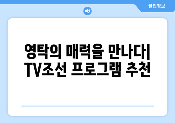 영탁 TV조선 출연 프로그램 추천 및 시청 방법