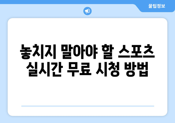 스포츠 실시간 티비 무료 시청 가이드