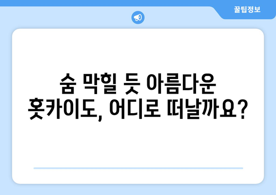 훗카이도 여행 팁, 자연과 함께하는 힐링 여행지 추천