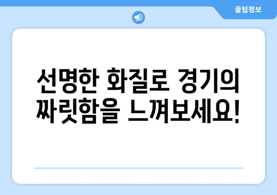 고화질로 즐기는 스포츠 실시간 중계 방법