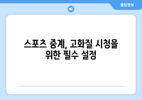 고화질 스포츠 중계 시청을 위한 팁과 추천