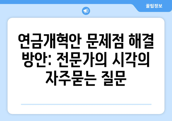 연금개혁안 문제점 해결 방안: 전문가의 시각