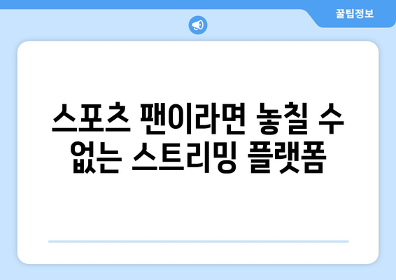 실시간 스포츠 라이브: 인기 스트리밍 플랫폼 비교