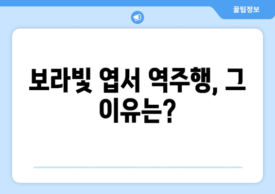 임영웅의 보라빛 엽서, 음원 차트 역주행의 이유는?