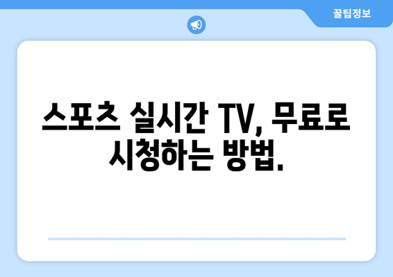 스포츠 실시간 TV: 언제 어디서나 무료 중계