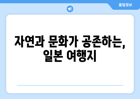 일본 여행지 추천, 관광객들이 추천하는 필수 명소 리스트