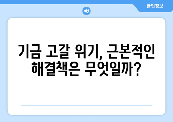 연금개혁안 문제점: 국민연금 개혁안의 주요 논쟁점