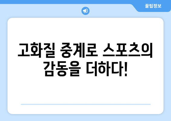 고화질로 즐기는 스포츠 실시간 중계 방법