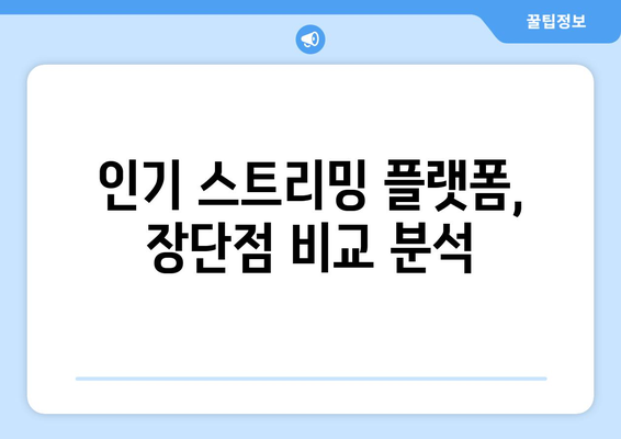 실시간 스포츠 라이브: 인기 스트리밍 플랫폼 비교