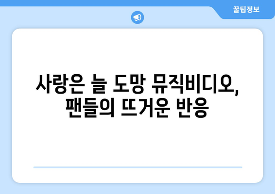 임영웅 사랑은 늘 도망 뮤직비디오 공개! 팬들의 반응은?