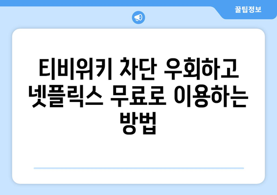 넷플릭스 VPN 티비위키 우회, 무료로 사용하는 법