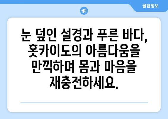 훗카이도 료칸 추천, 전통과 현대가 어우러진 온천 숙소