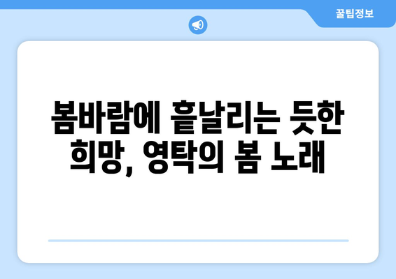 영탁 노래 추천: 계절별 필수 플레이리스트