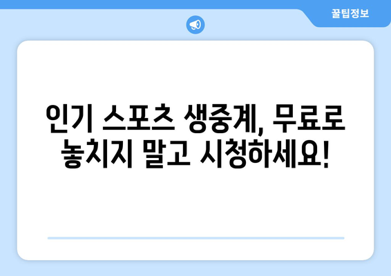 스포츠 실시간 티비 무료 시청: 추천 채널과 이용 방법