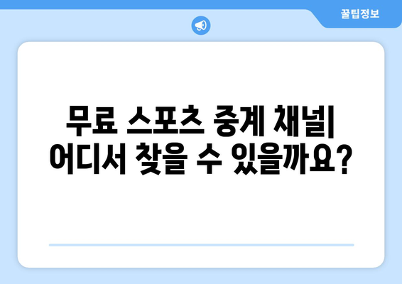 스포츠 실시간 티비 시청 가이드: 무료로 보는 방법