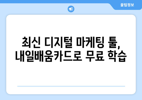 내일배움카드로 배우는 최신 디지털 마케팅 툴