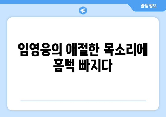 임영웅의 감성 발라드 명곡 추천