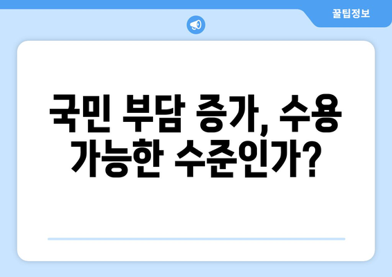 연금개혁안 문제점: 국민연금 개혁안의 주요 과제