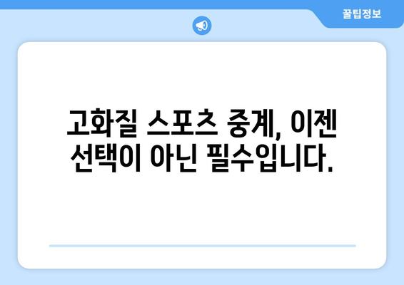 고화질 스포츠 중계, 최상의 시청 경험을 위한 방법