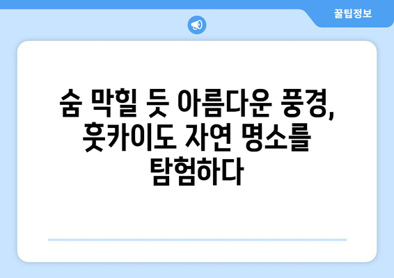 훗카이도 여행 가이드, 자연 속에서 힐링할 수 있는 완벽한 코스