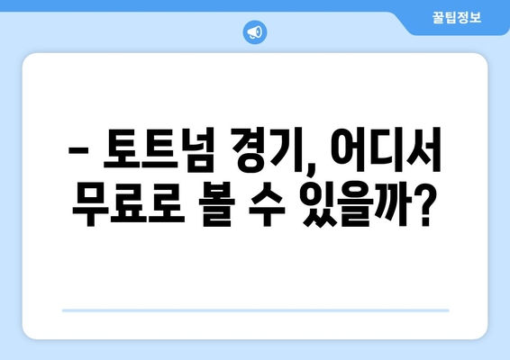 무료로 토트넘 경기 실시간 중계 시청 방법