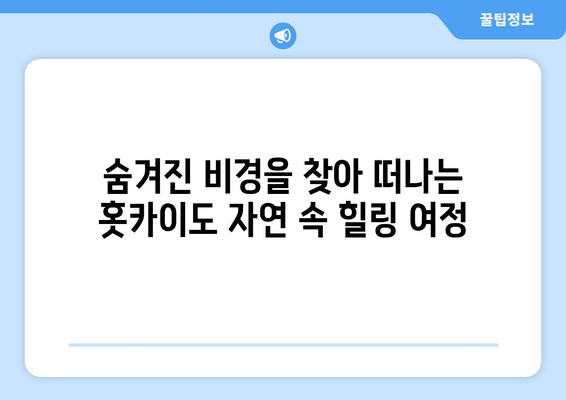 훗카이도 여행 가이드, 자연과 함께하는 완벽한 힐링 여행