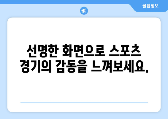 고화질 스포츠 중계, 끊김 없이 즐기는 방법