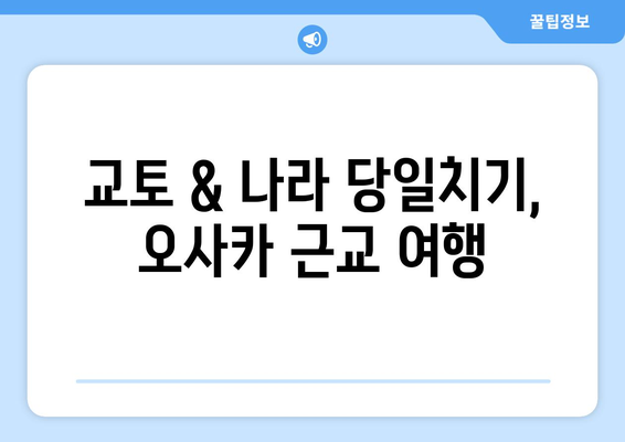 오사카 여행 코스, 알뜰하게 즐기는 3박 4일 일정