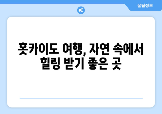 훗카이도 여행 팁, 자연과 함께하는 힐링 여행지 추천