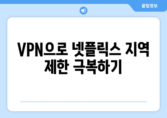 넷플릭스 VPN 티비위키와 함께 차단 해제하기