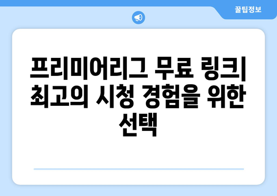 프리미어리그 실시간 무료 링크: 안전한 사이트 소개