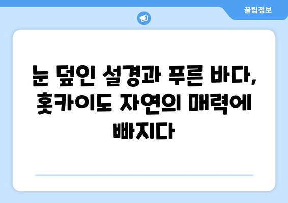 훗카이도 여행 가이드, 자연과 전통을 모두 느낄 수 있는 방법