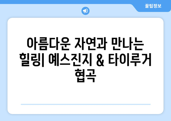 대만 여행지 소개, 전통과 현대의 매력을 느낄 수 있는 곳