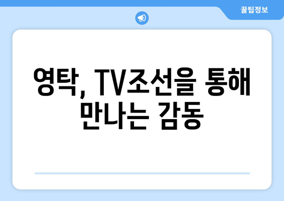 영탁 TV조선 방송 일정과 프로그램 소개