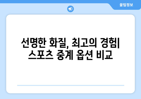 고화질 스포츠 중계 시청을 위한 팁과 서비스