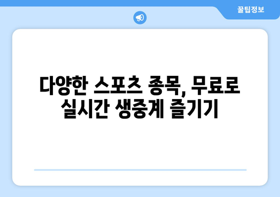 스포츠 실시간 무료 중계: 사용자 친화적인 사이트 추천