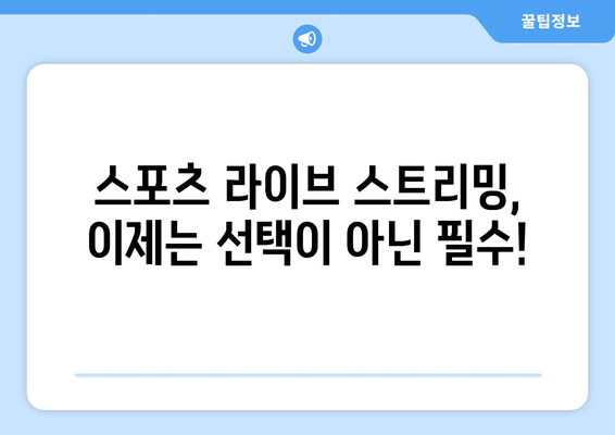 스포츠 실시간 라이브 스트리밍의 모든 것