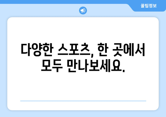 고화질 스포츠 실시간 중계: 최적의 스트리밍 서비스 소개