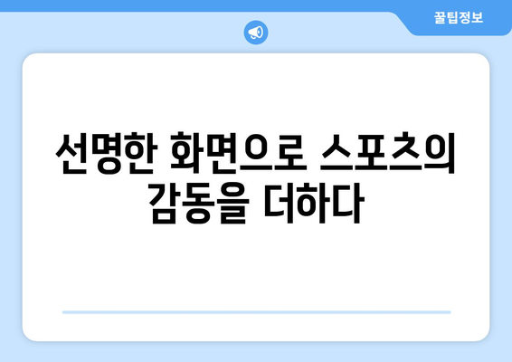 고화질 스포츠 중계, 최상의 시청 경험을 위한 방법