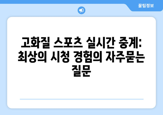 고화질 스포츠 실시간 중계: 최상의 시청 경험