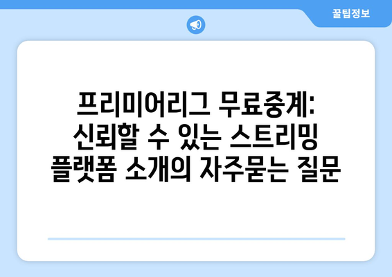 프리미어리그 무료중계: 신뢰할 수 있는 스트리밍 플랫폼 소개