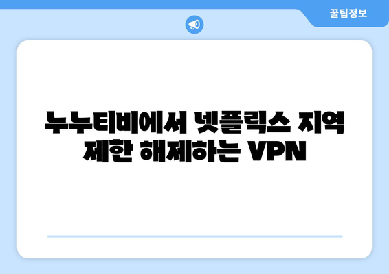 누누티비에서 넷플릭스 시청하는 VPN 추천