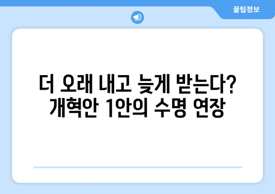 국민연금 개혁안 1안의 주요 내용과 장단점