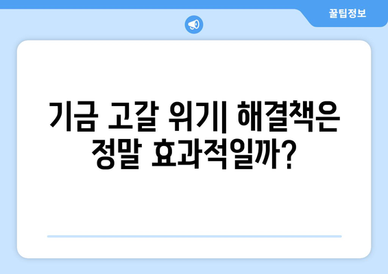 연금개혁안 문제점: 국민연금 개혁안의 주요 이슈들