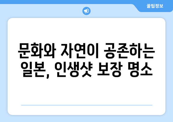 일본 여행지 추천, 관광객들이 사랑하는 명소 소개