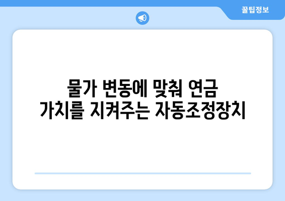 국민연금 자동조정장치 도입 이유와 기능 설명