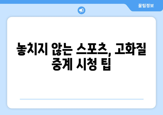 고화질 스포츠 중계 시청을 위한 팁과 추천