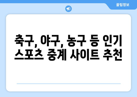 스포츠 실시간 무료 중계 사이트 추천 및 링크