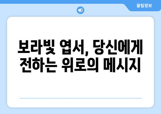 임영웅이 전하는 보라빛 엽서의 감성