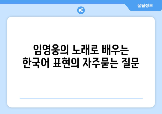 임영웅의 노래로 배우는 한국어 표현